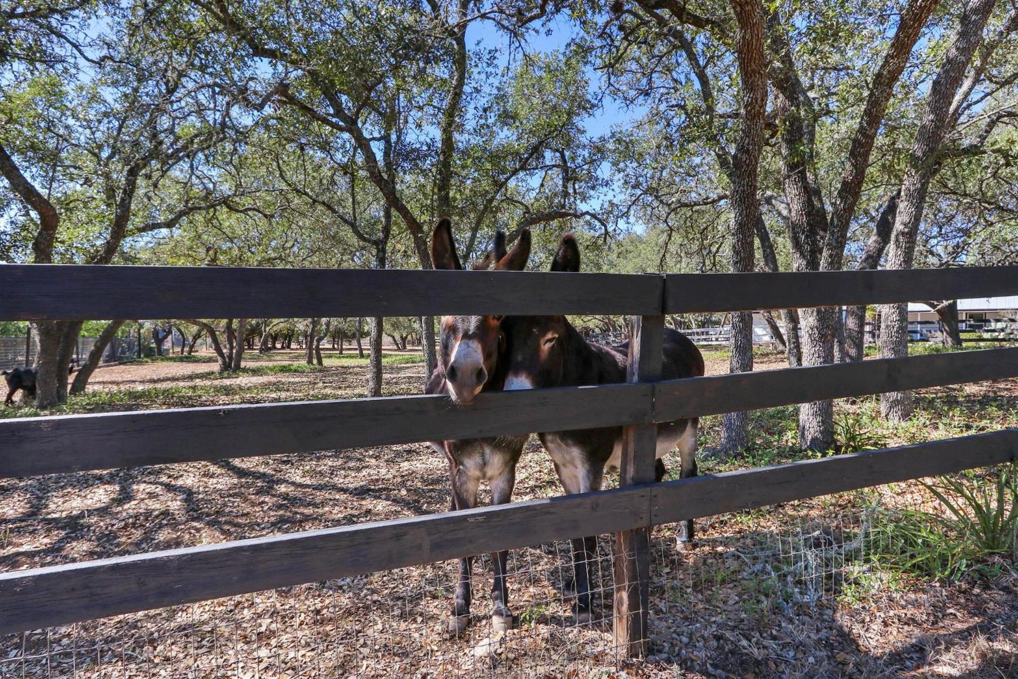 Red Donkey Cottage Wimberley Zewnętrze zdjęcie