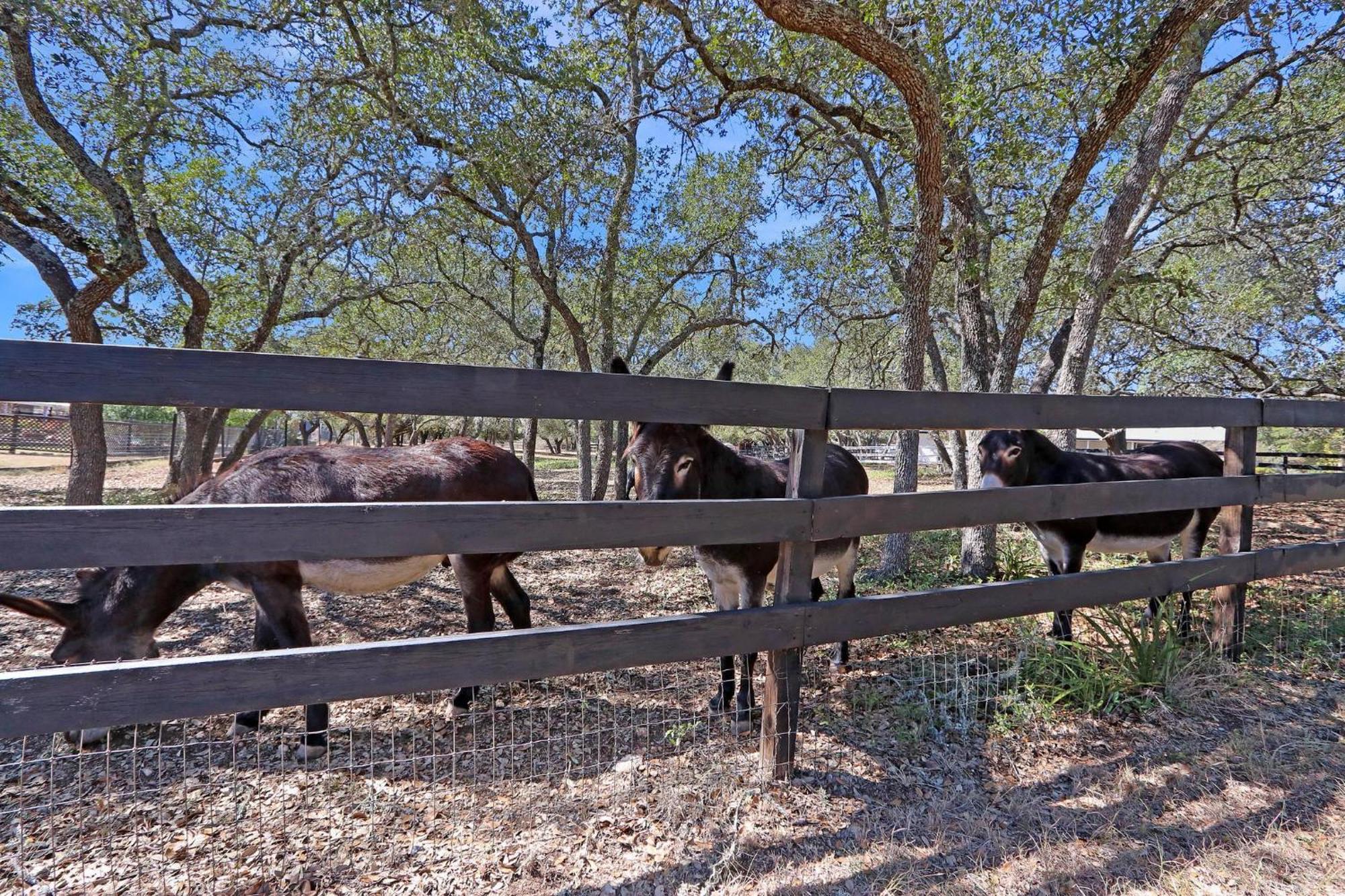 Red Donkey Cottage Wimberley Zewnętrze zdjęcie