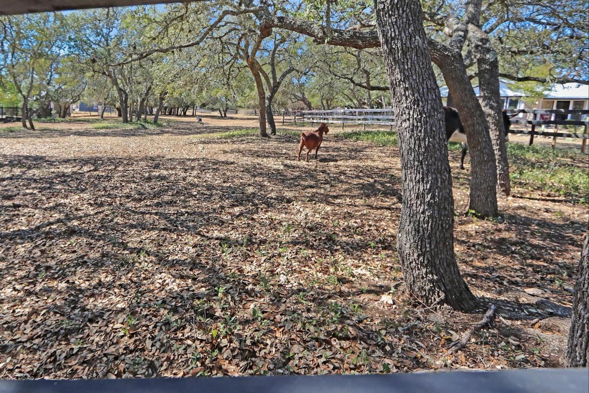 Red Donkey Cottage Wimberley Zewnętrze zdjęcie